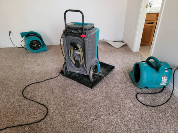 Reliable Sumiton, AL Water damage restoration Solutions
