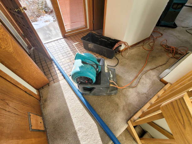 Water damage restoration insurance claims in Sumiton, AL