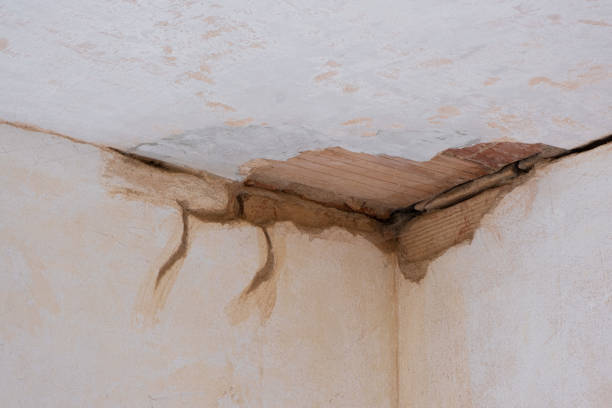 Best 24-hour water damage restoration  in Sumiton, AL