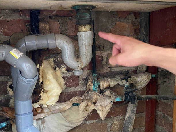 Best Water damage mitigation services  in Sumiton, AL